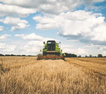 Green tractor 175389 360x320