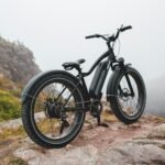 Fietsaccu van Stella