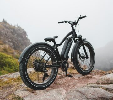 Fietsaccu van Stella