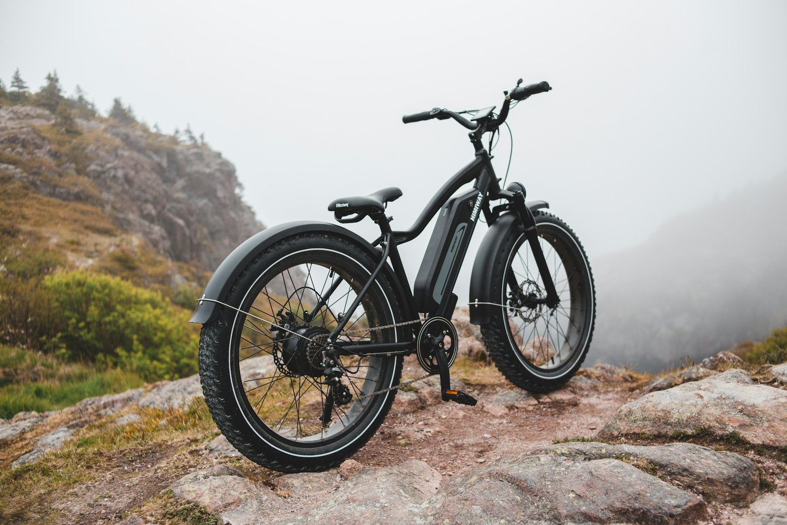 Fietsaccu van Stella